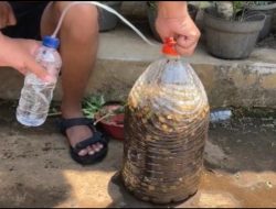 Inovasi Mahasiswa Bina Desa: Fermentor Botol dari Galon Bekas untuk Pupuk Organik Cair