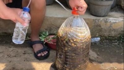Inovasi Mahasiswa Bina Desa: Fermentor Botol dari Galon Bekas untuk Pupuk Organik Cair